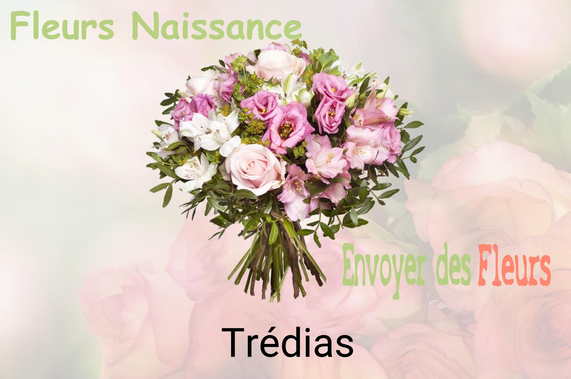 Bouquet de fleurs de naissance livré à Trédias