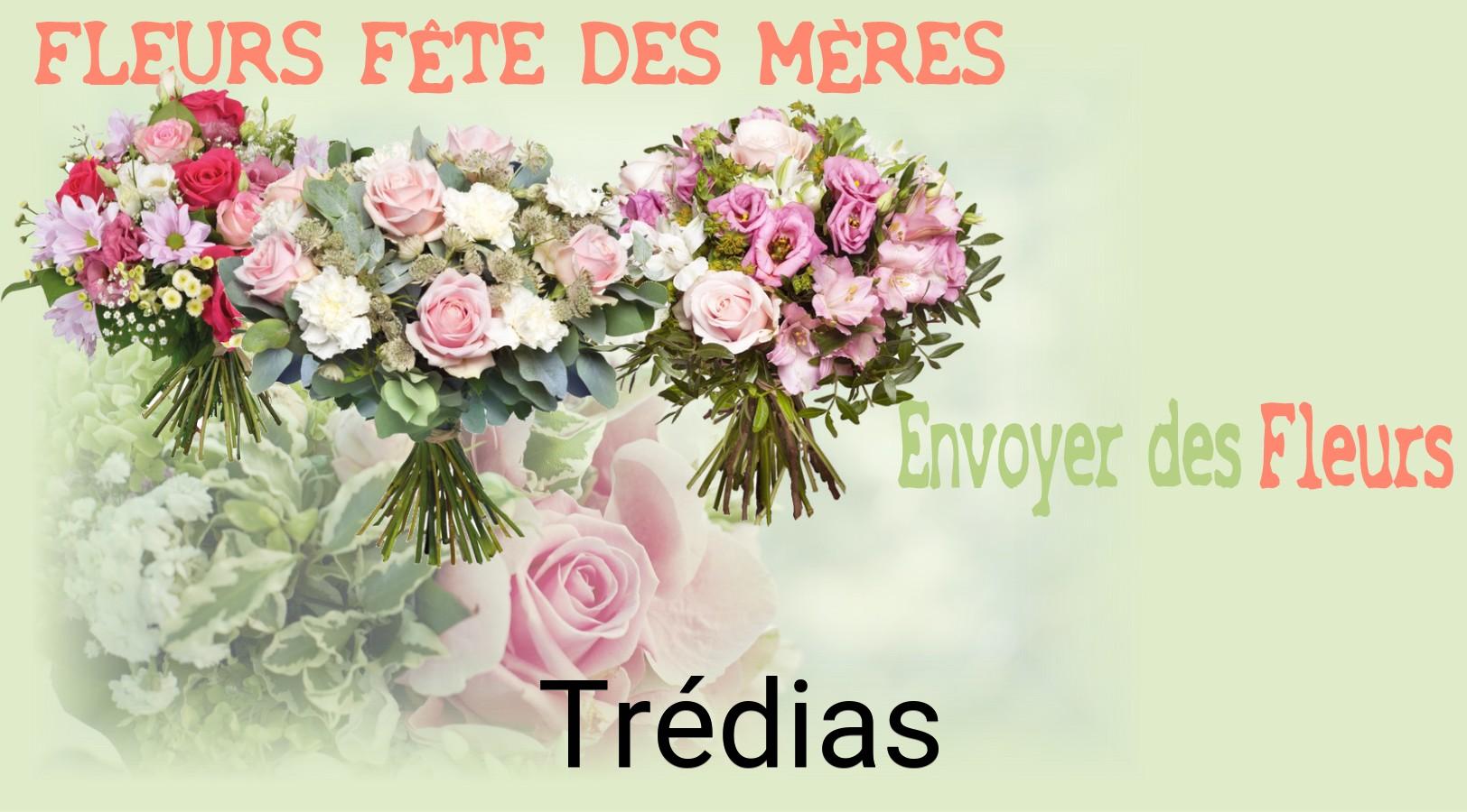 Bouquet de Fête des Mères livré à Trédias